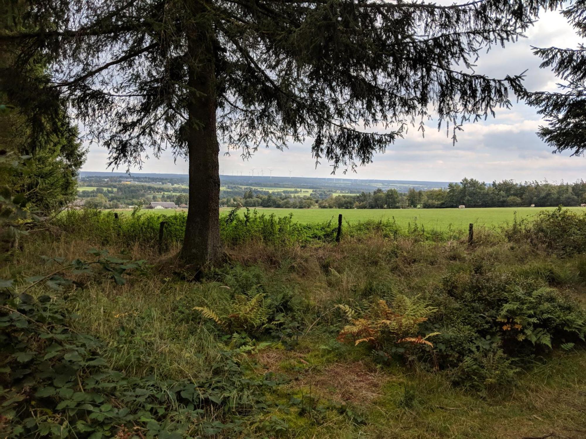 Victorhof Landurlaub Deine Auszeit Im Gruenen, Umgeben Von Wald & Wiesen Monschau Zewnętrze zdjęcie